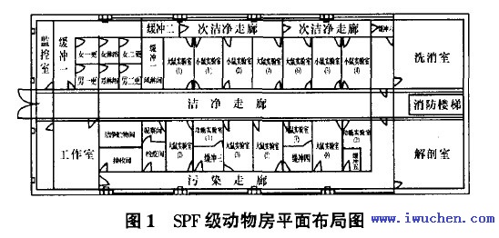 實(shí)驗(yàn)動物房平面布置圖